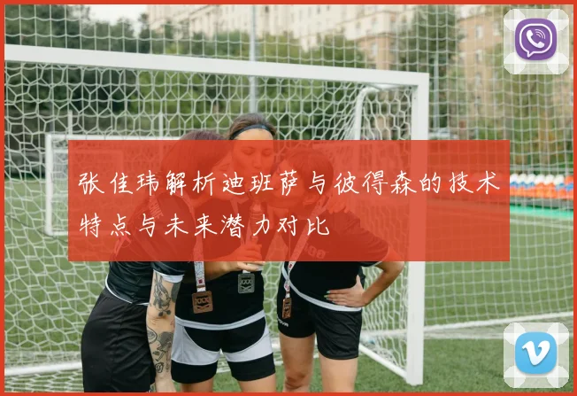 张佳玮解析迪班萨与彼得森的技术特点与未来潜力对比