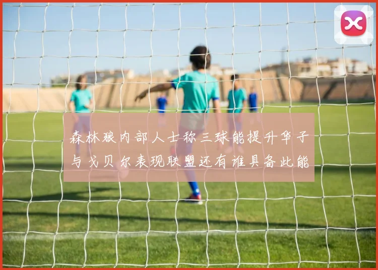 森林狼内部人士称三球能提升华子与戈贝尔表现联盟还有谁具备此能力
