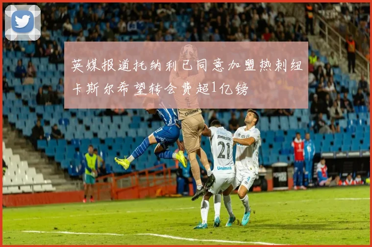 英媒报道托纳利已同意加盟热刺纽卡斯尔希望转会费超1亿镑